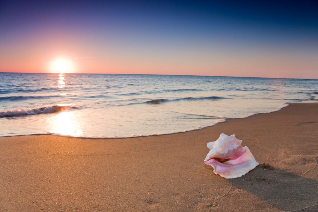 Treasure Beach