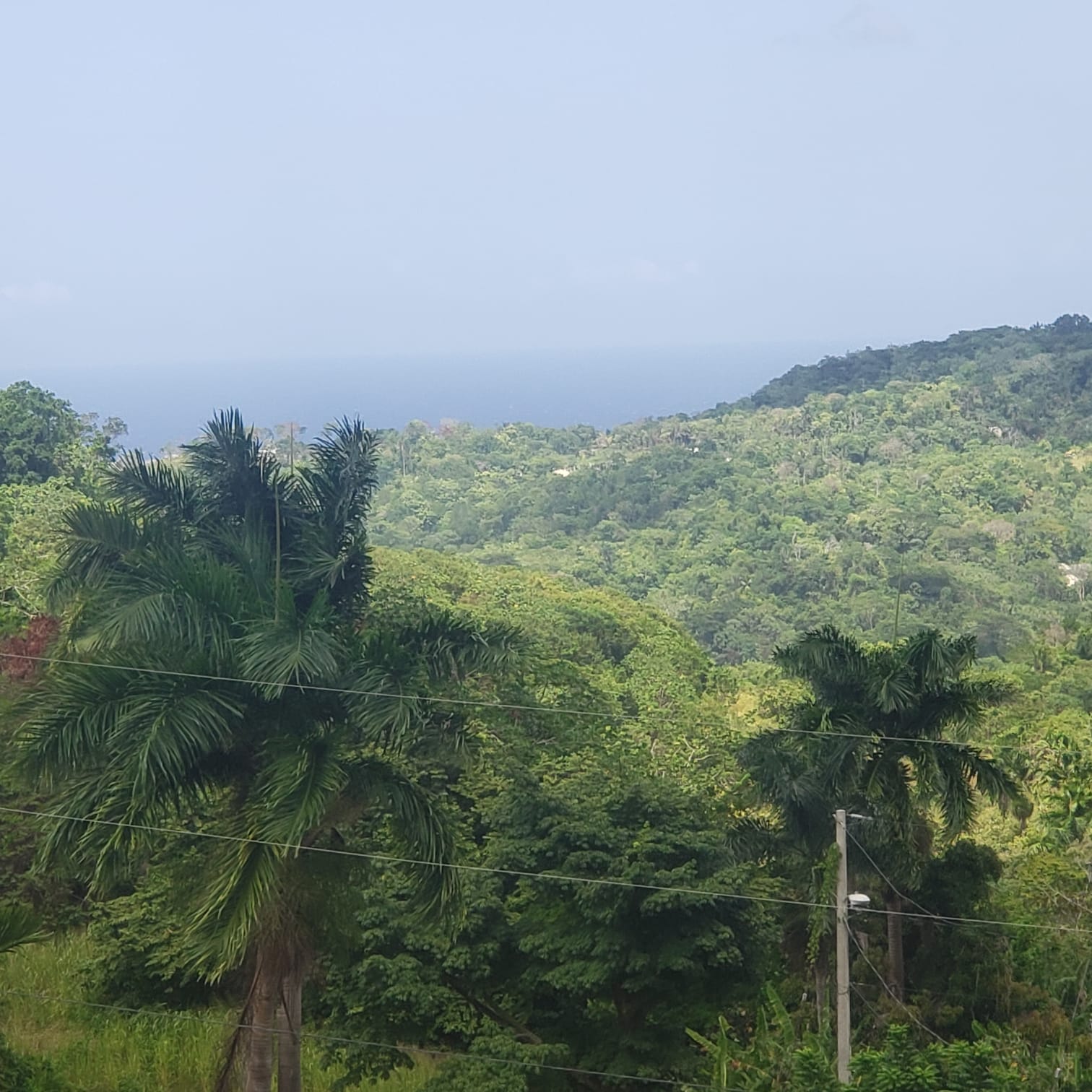 Liberty Hill Estate, St. Ann, Jamaica