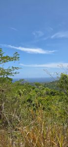 Liberty Hill Estate, St. Ann, Jamaica