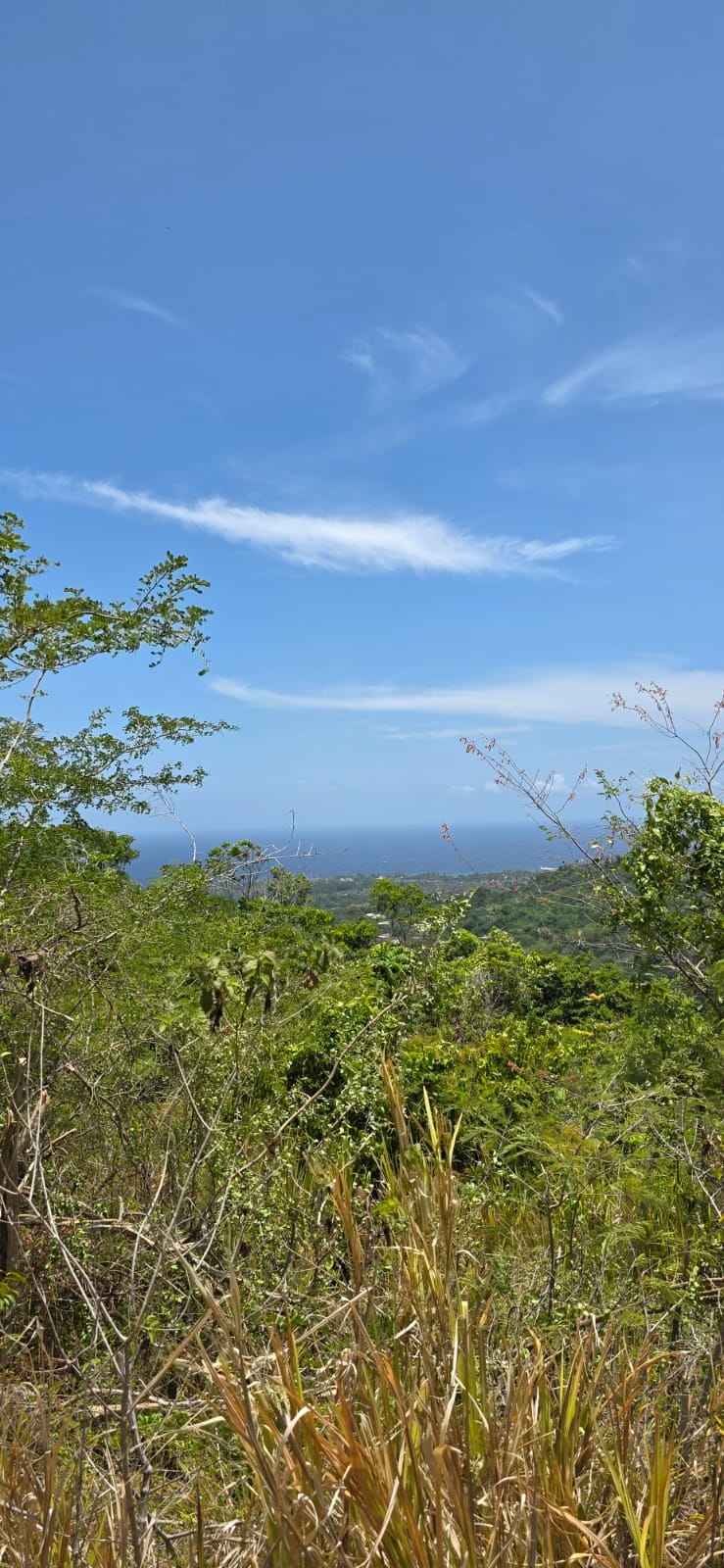 Liberty Hill Estate, St. Ann, Jamaica